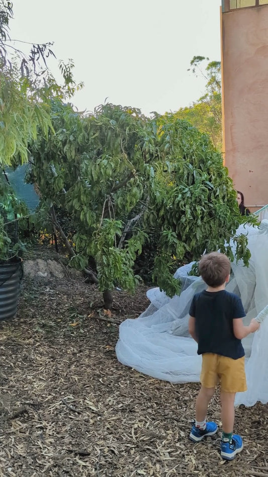 flipNet®  Large + Easy Install Pole Set